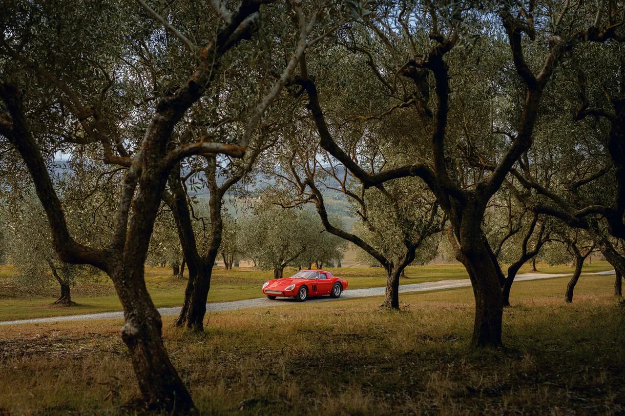 250 GTO parmi les oliviers
