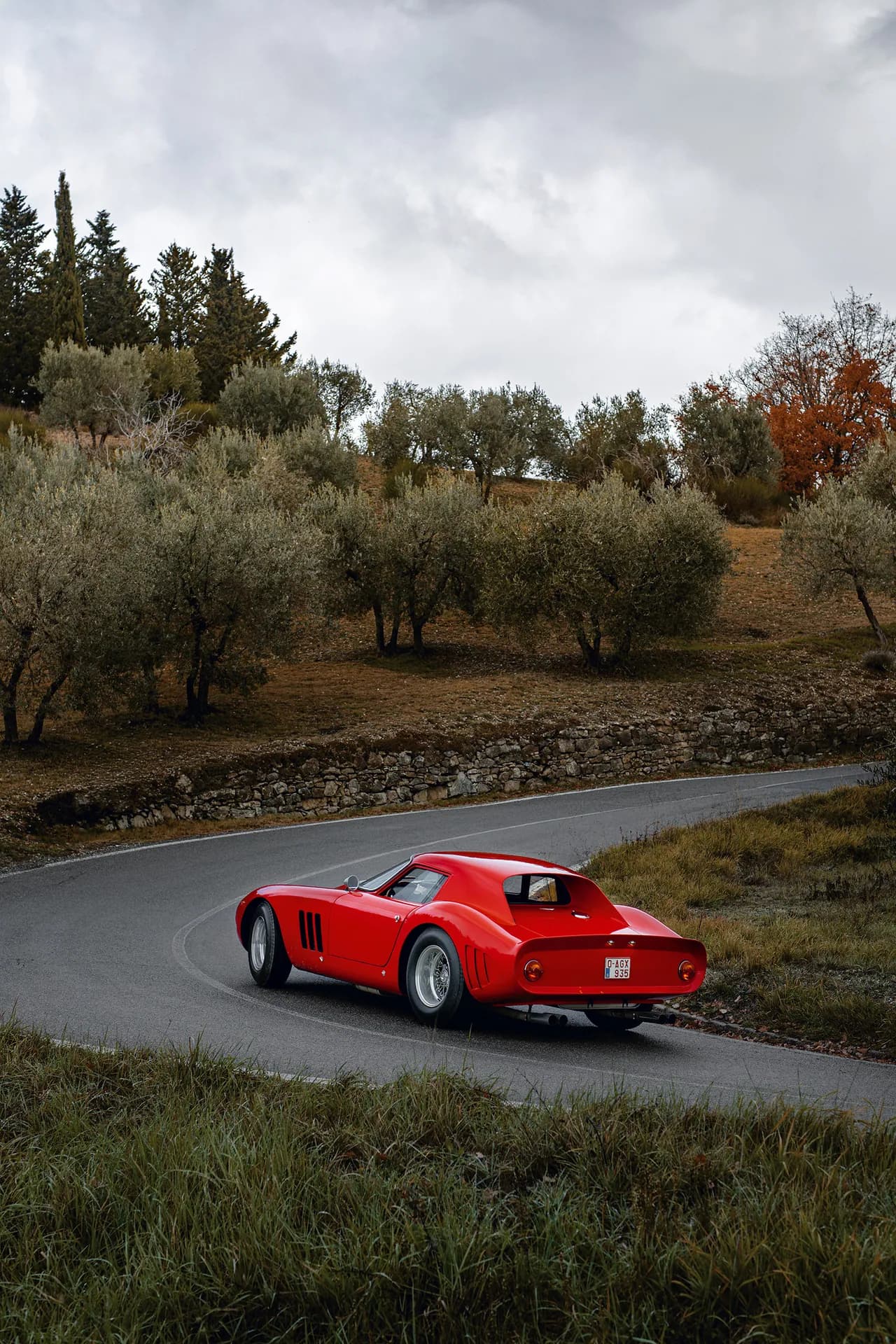250 GTO sur une route bordée d'oliviers