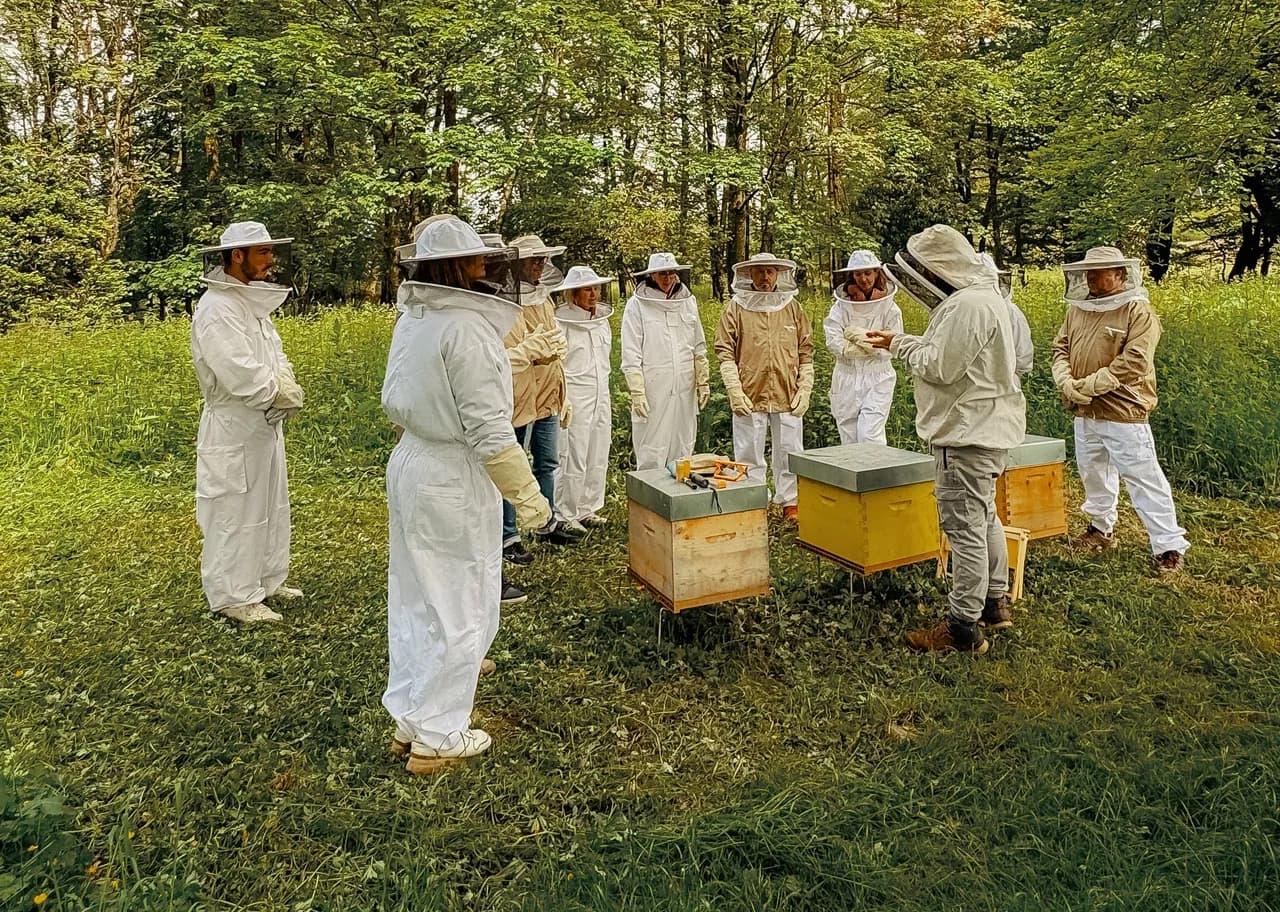Beekeeping team-building activity at Brasero